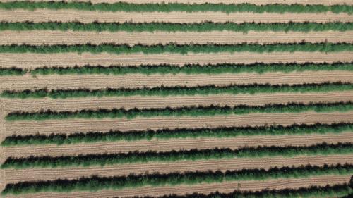 DJI_20260706152627_0007_D.JPG